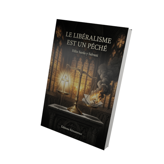 Le libéralisme est un péché - Félix Sarda y Salvani (Vue 3D)