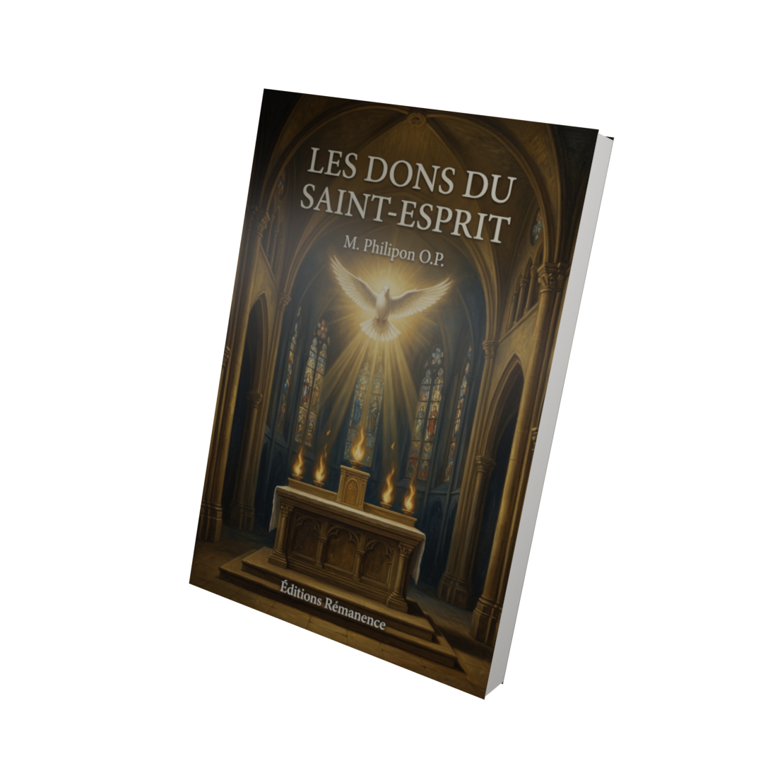 Les dons du Saint-Esprit - M. Philipon O.P. (Vue 3D)