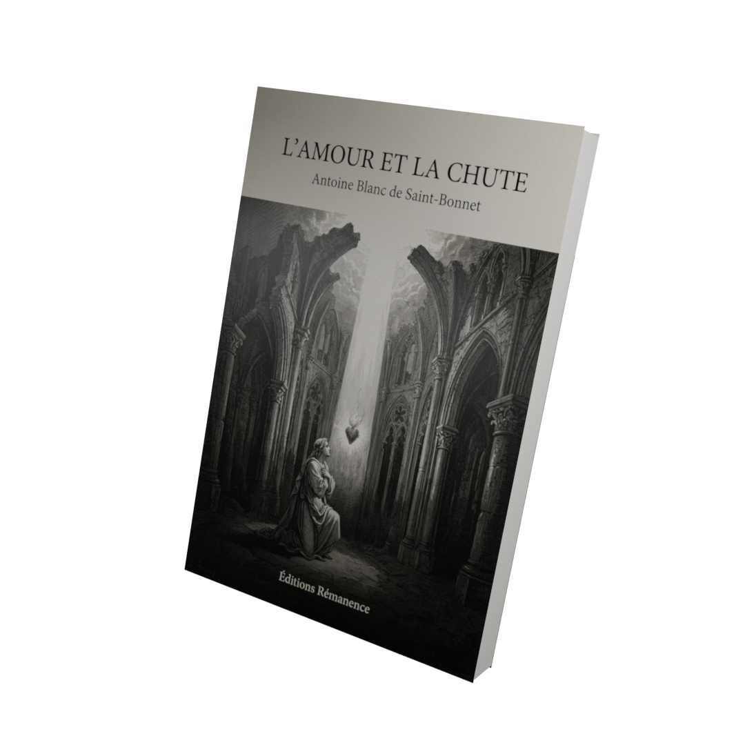 L'amour et la chute - Antoine Blanc de Saint-Bonnet (Vue 3D)