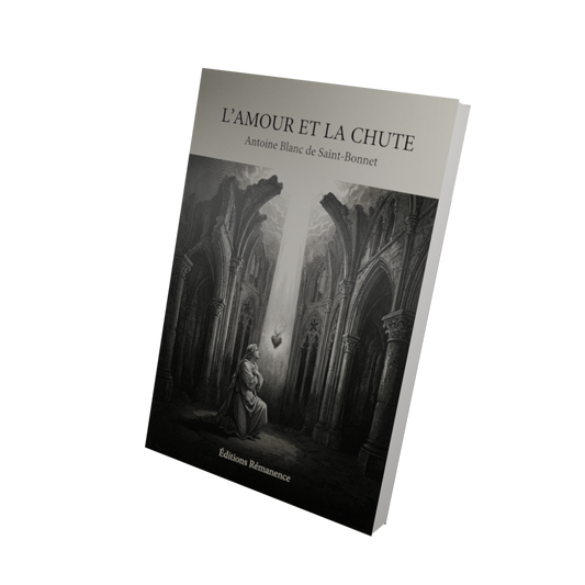 L'amour et la chute - Antoine Blanc de Saint-Bonnet (Vue 3D)
