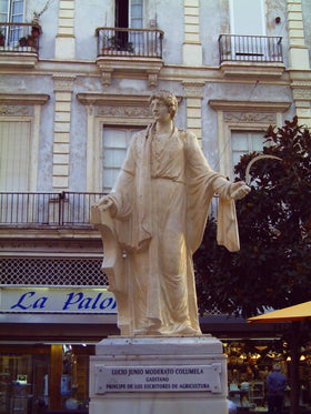 Columelle