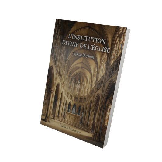 L'institution divine de l'Église - Eugène Duplessy (Vue 3D)