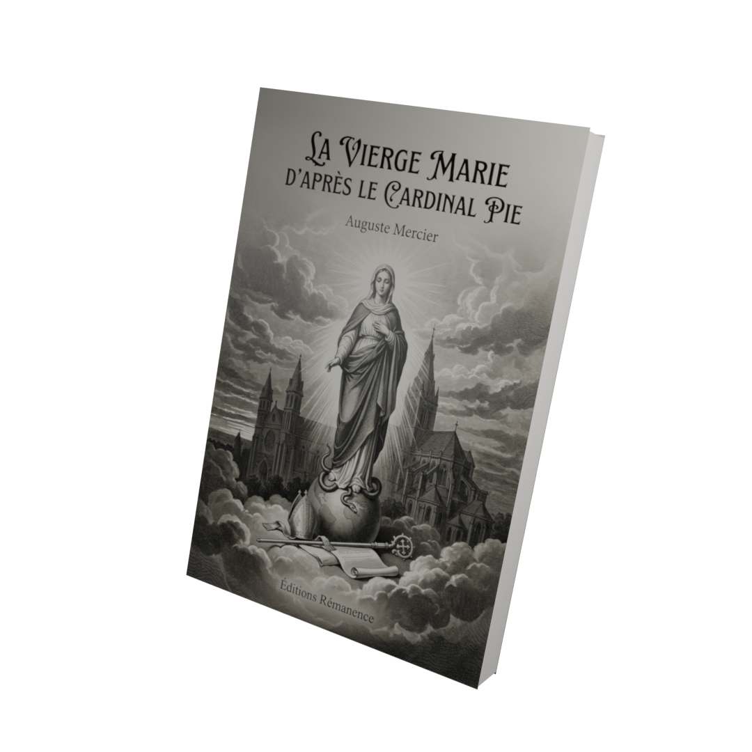 La Vierge Marie d'après le Cardinal Pie - Auguste Mercier (Vue 3D)