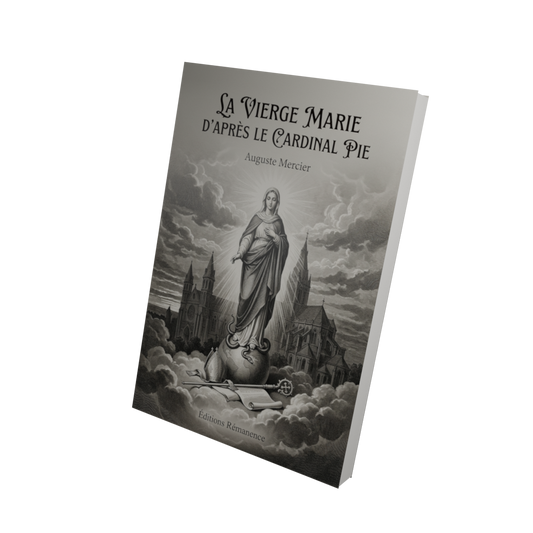 La Vierge Marie d'après le Cardinal Pie - Auguste Mercier (Vue 3D)