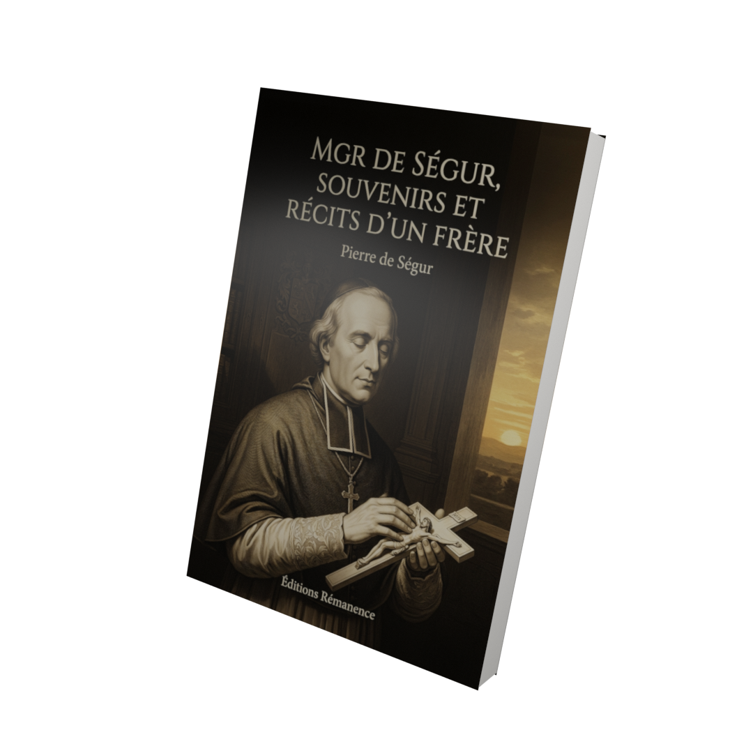 Mgr de Ségur, souvenirs et récits d'un frère - Pierre de Ségur (Vue 3D)