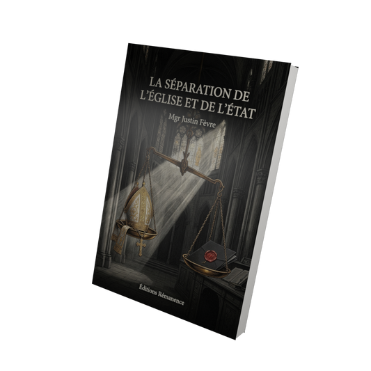 La séparation de l'Église et de l'État - Mgr Justin Fèvre (Vue 3D)