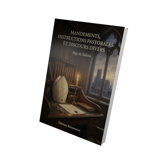 Mandements, instructions pastorales et discours divers - Mgr de Salinis (Vue 3D)