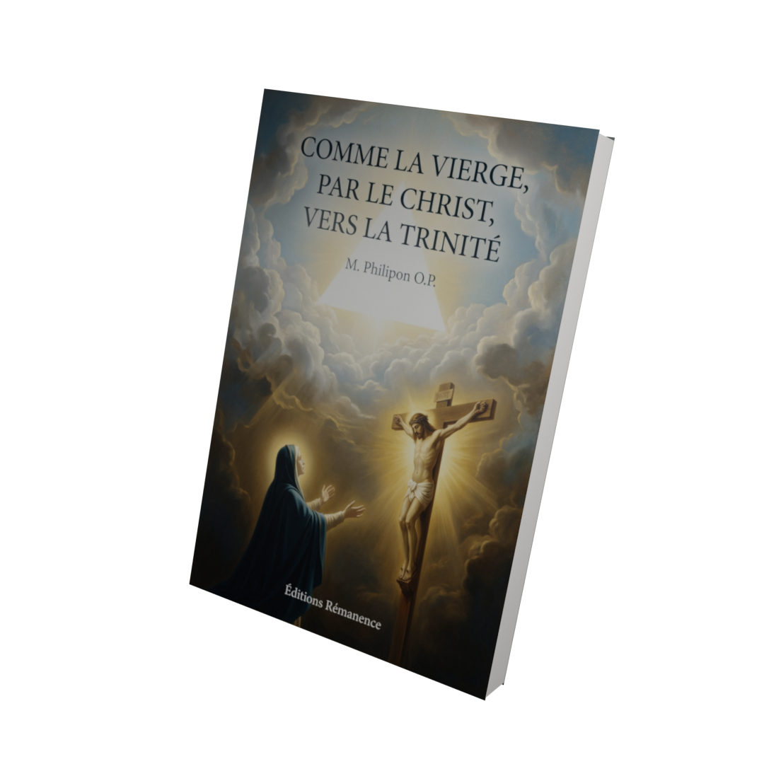 Comme la Vierge, par le Christ, vers la Trinité - M. Philipon O.P. (Vue 3D)