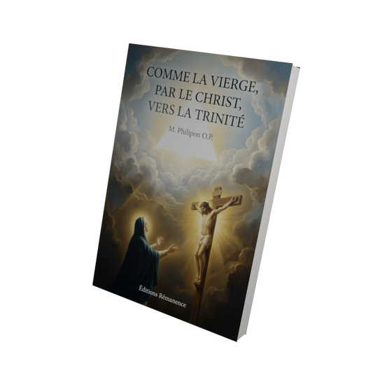 Comme la Vierge, par le Christ, vers la Trinité - M. Philipon O.P. (Vue 3D)