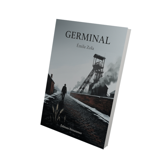 Germinal - Émile Zola (Vue 3D)