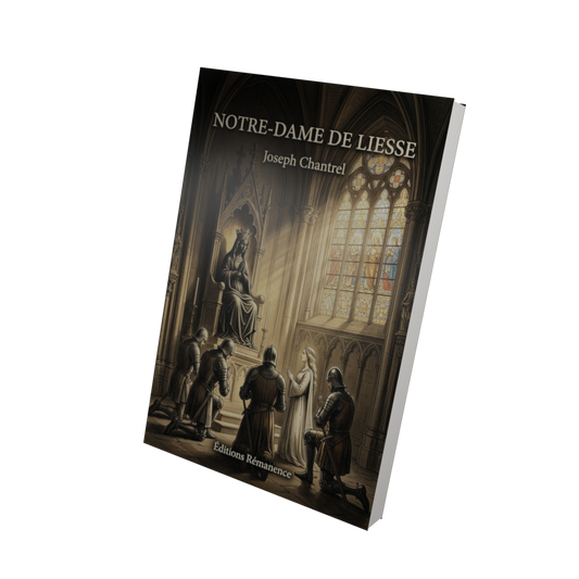 Notre-Dame de Liesse - Joseph Chantrel (Vue 3D)