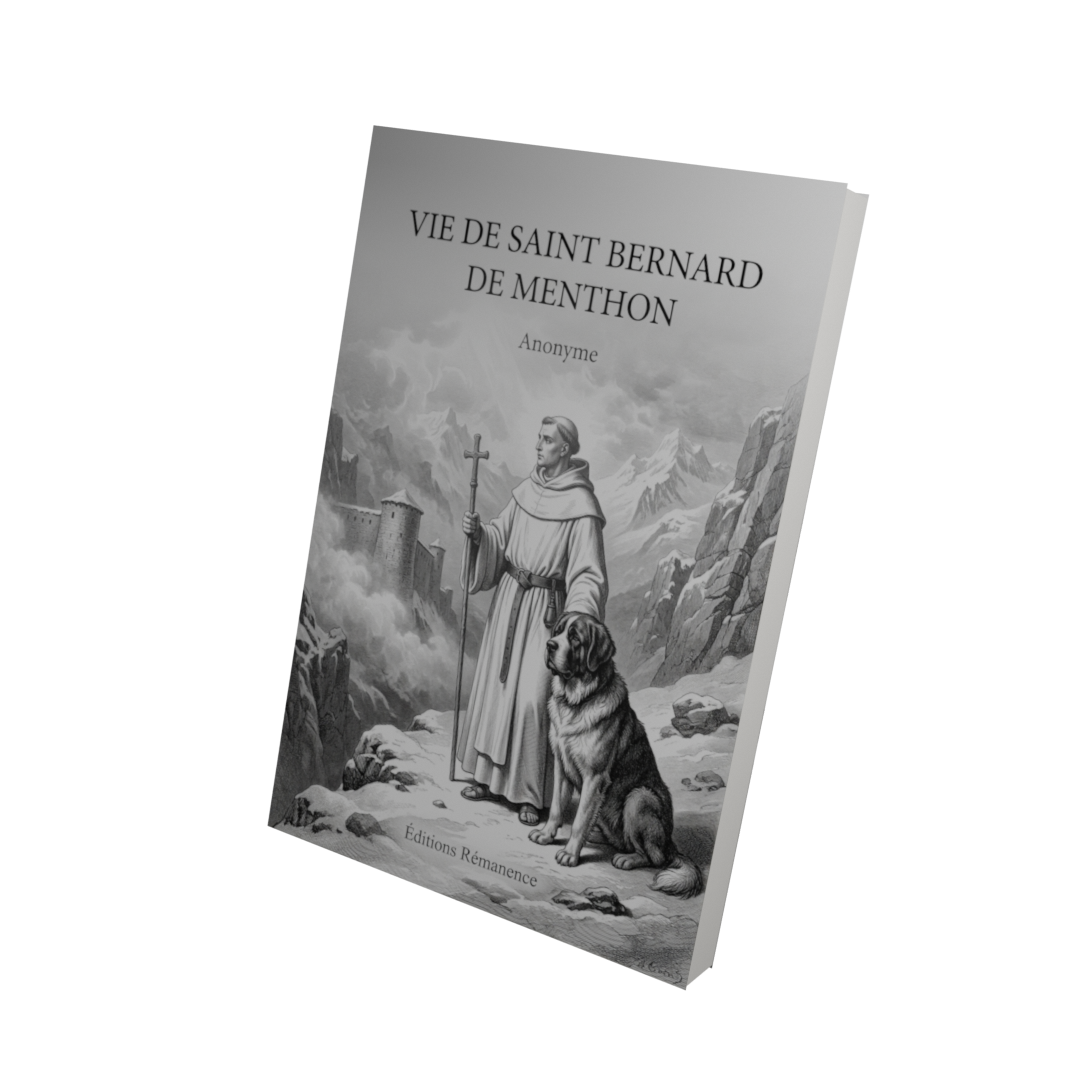 Vie de Saint Bernard de Menthon - Anonyme (Vue 3D)