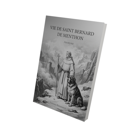 Vie de Saint Bernard de Menthon - Anonyme (Vue 3D)