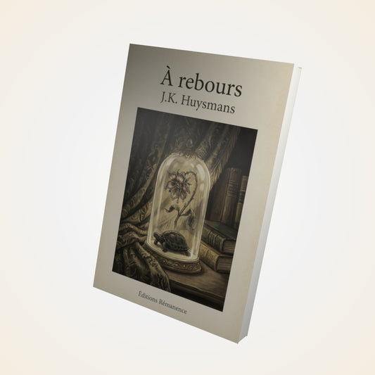 Livre À rebours - J.K. Huysmans - Couverture 3D