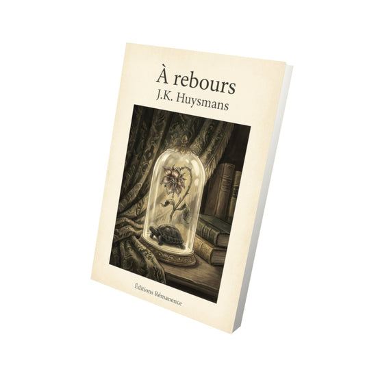Livre À rebours - J.K. Huysmans - Vue 3D - Editions Remanence