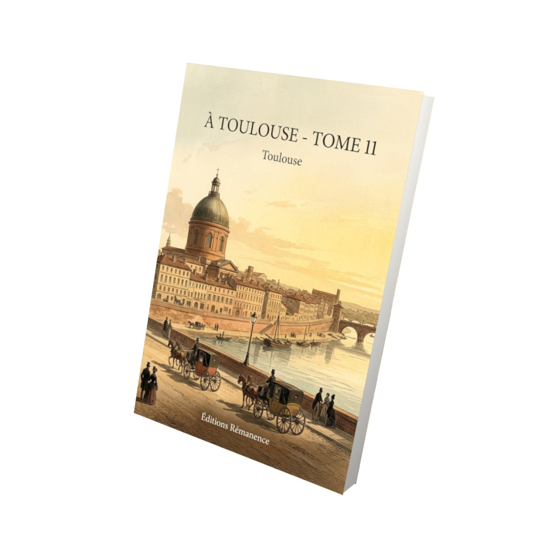 Livre À Toulouse - Tome 11 par Toulouse - Vue 3D - Editions Remanence
