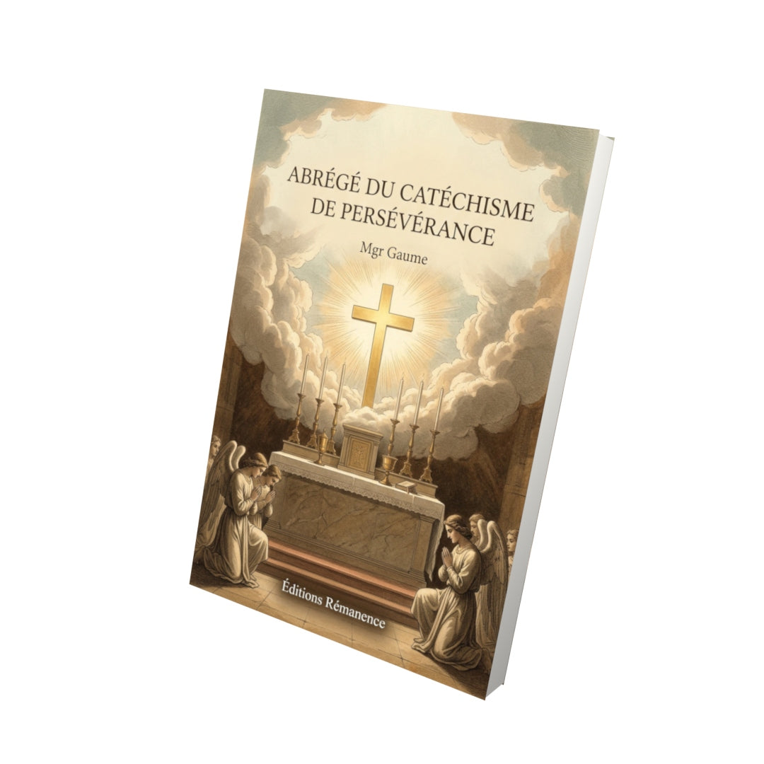 Livre Abrégé du catéchisme de persévérance - Mgr Gaume - Vue 3D - Editions Remanence