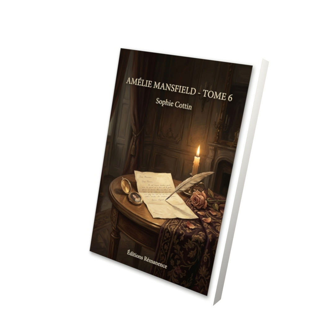 Livre Amélie Mansfield - Tome 6 par Sophie Cottin - Vue 3D - Editions Remanence