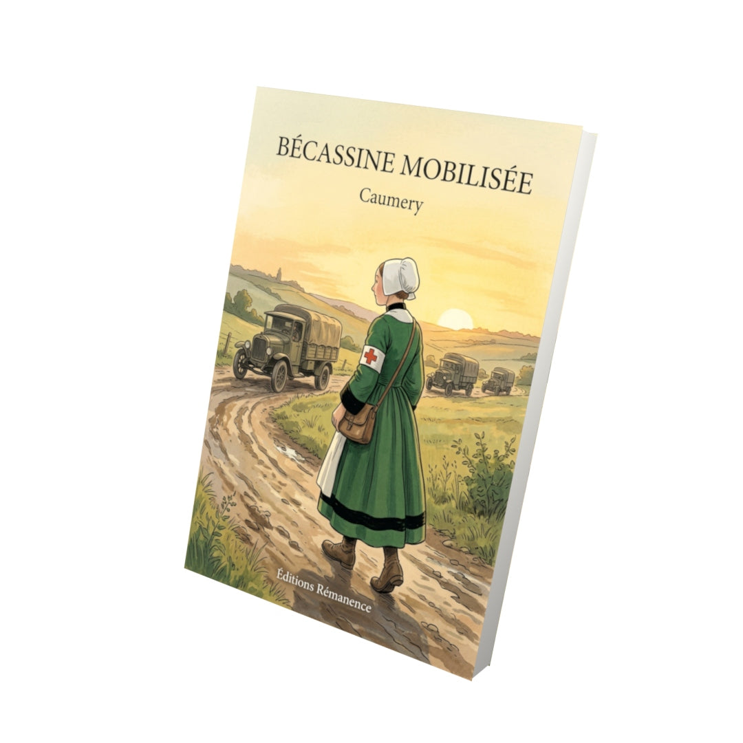 Livre Bécassine mobilisée par Caumery - Vue 3D - Editions Remanence
