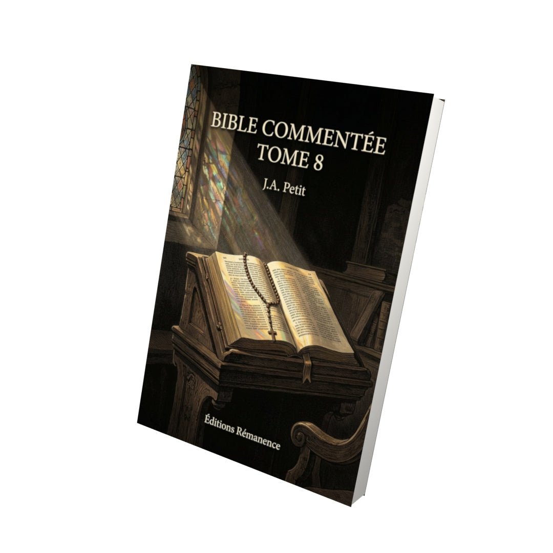 Livre Bible commentée Tome 8 - J.A. Petit - Vue 3D - Editions Remanence