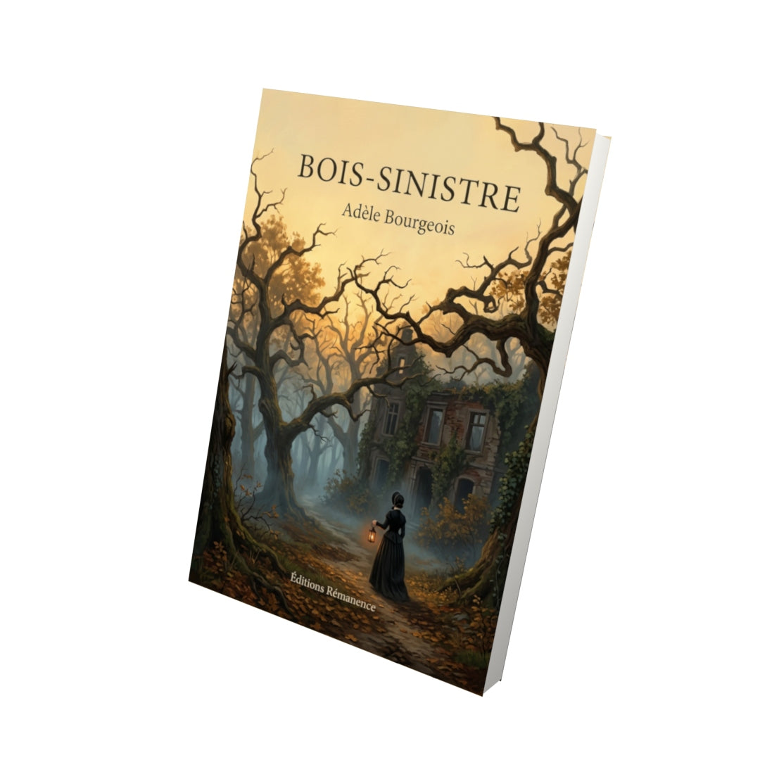 Livre Bois-Sinistre par Adèle Bourgeois - Vue 3D - Editions Remanence
