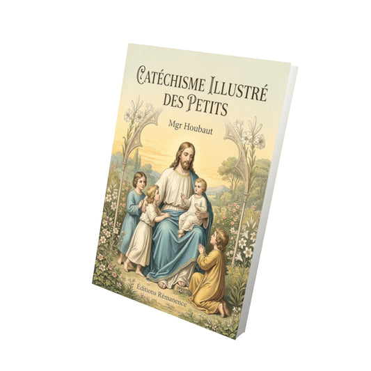 Livre Catéchisme illustré des petits - Mgr Houbaut - Vue 3D - Editions Remanence