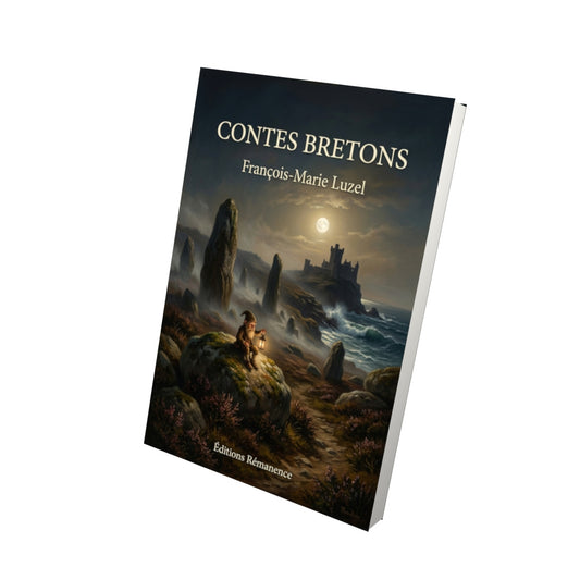 Livre Contes bretons par François-Marie Luzel - Vue 3D - Editions Remanence