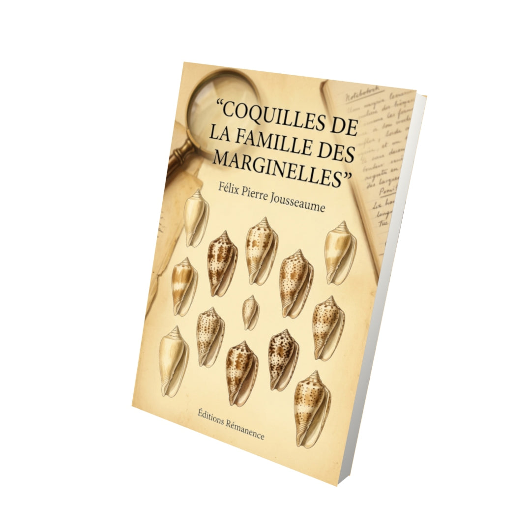 Livre Coquilles de la famille des marginelles par Félix Pierre Jousseaume - Vue 3D - Editions Remanence