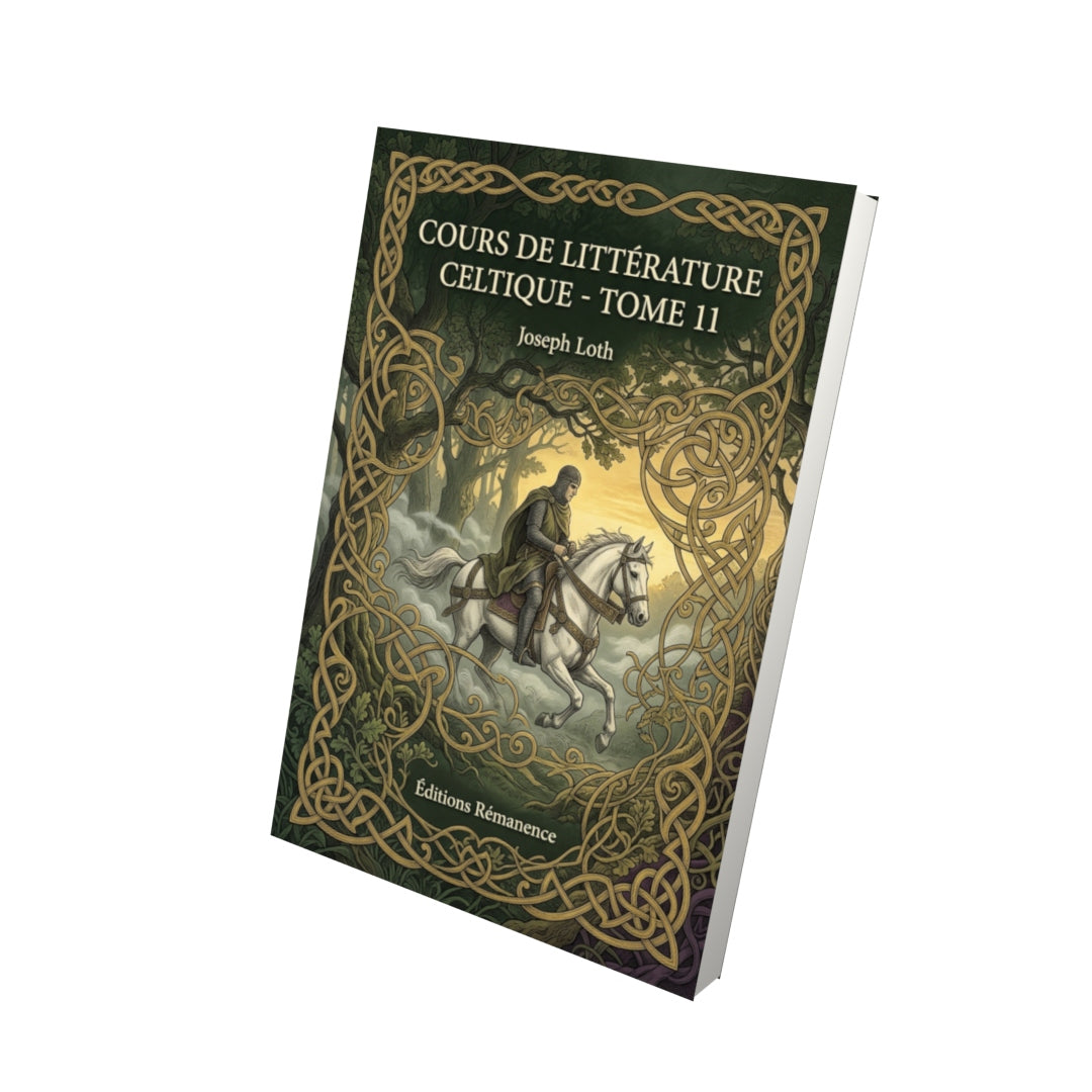 Livre Cours de littérature celtique - Tome 11 par Joseph Loth - Vue 3D - Editions Remanence