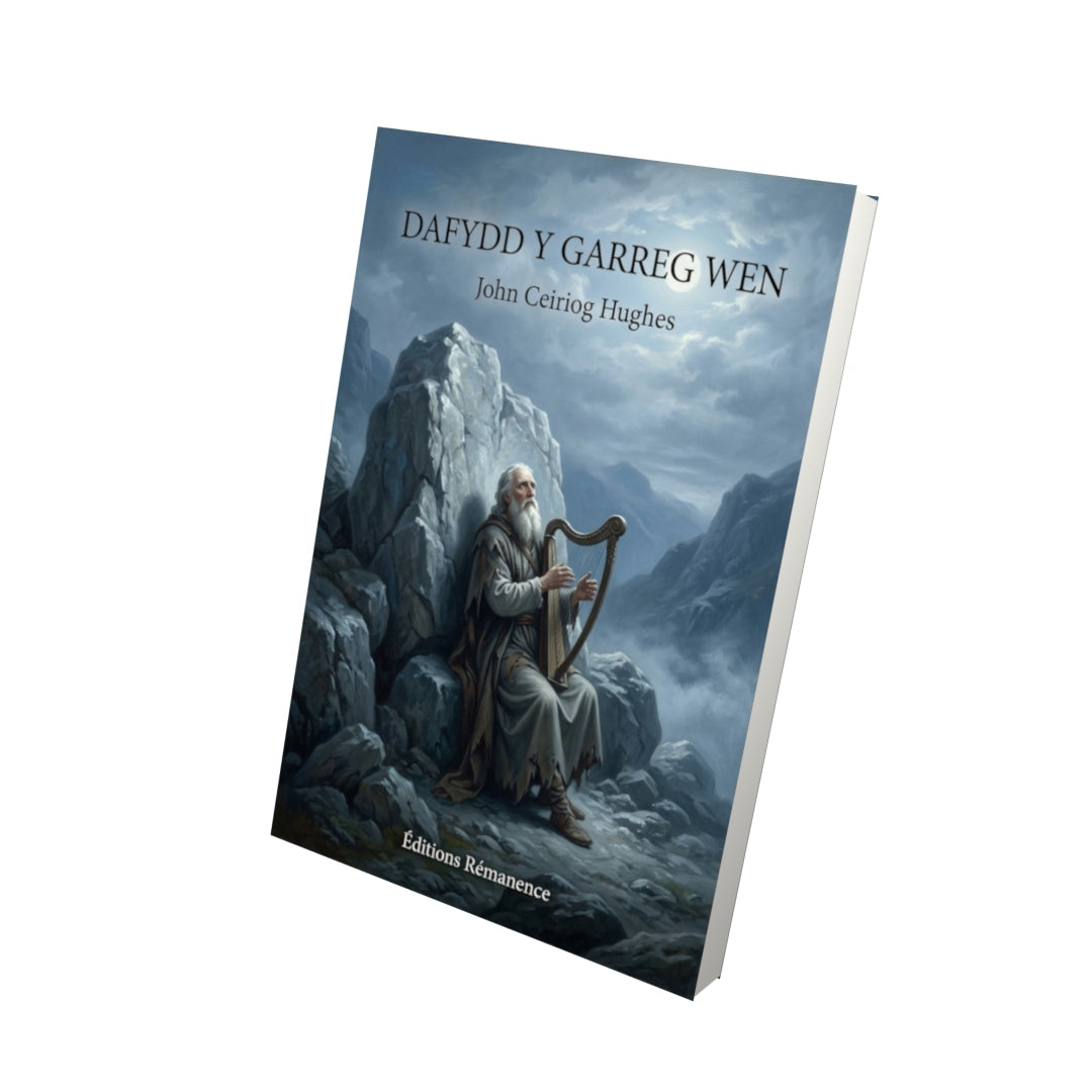 Livre Dafydd y garreg wen par John Ceiriog Hughes - Vue 3D - Editions Remanence