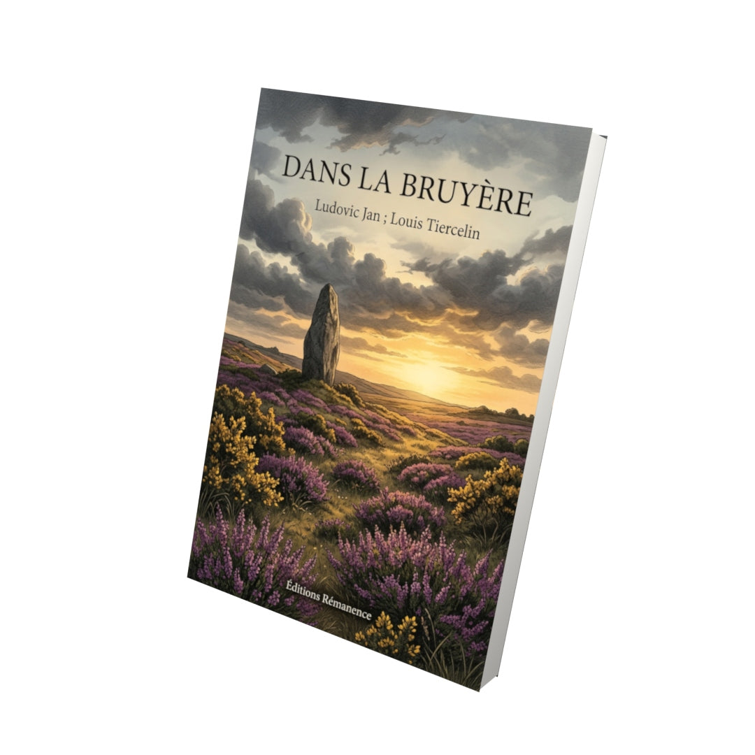 Livre Dans la bruyère par Ludovic Jan ; Louis Tiercelin - Vue 3D - Editions Remanence