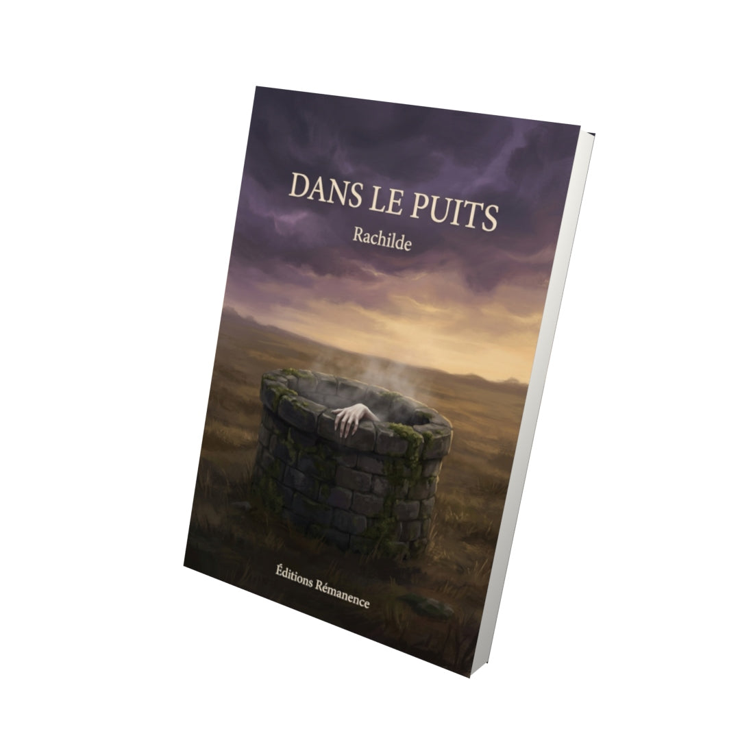 Livre Dans le puits par Rachilde - Vue 3D - Editions Remanence