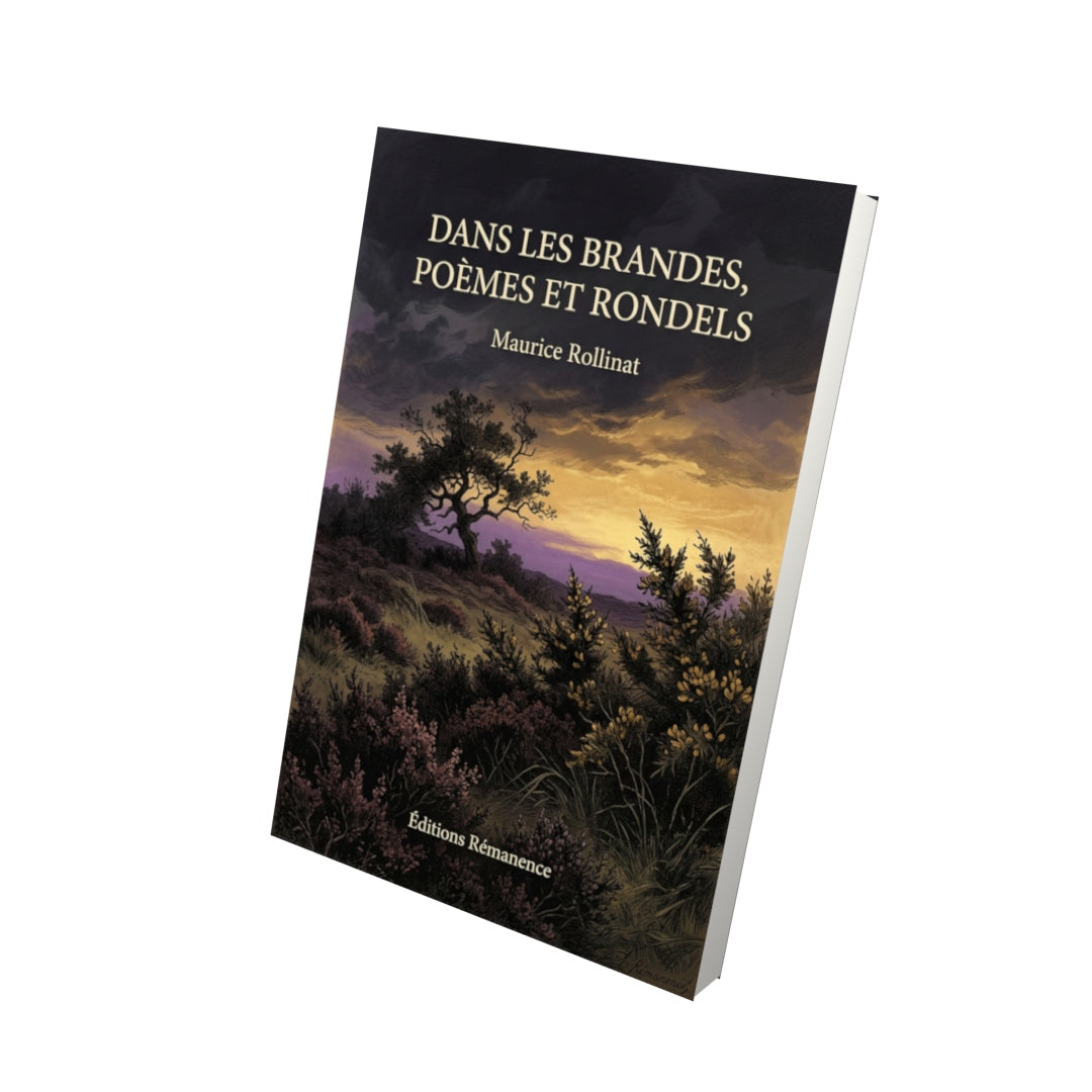 Livre Dans les brandes, poèmes et rondels par Maurice Rollinat - Vue 3D - Editions Remanence