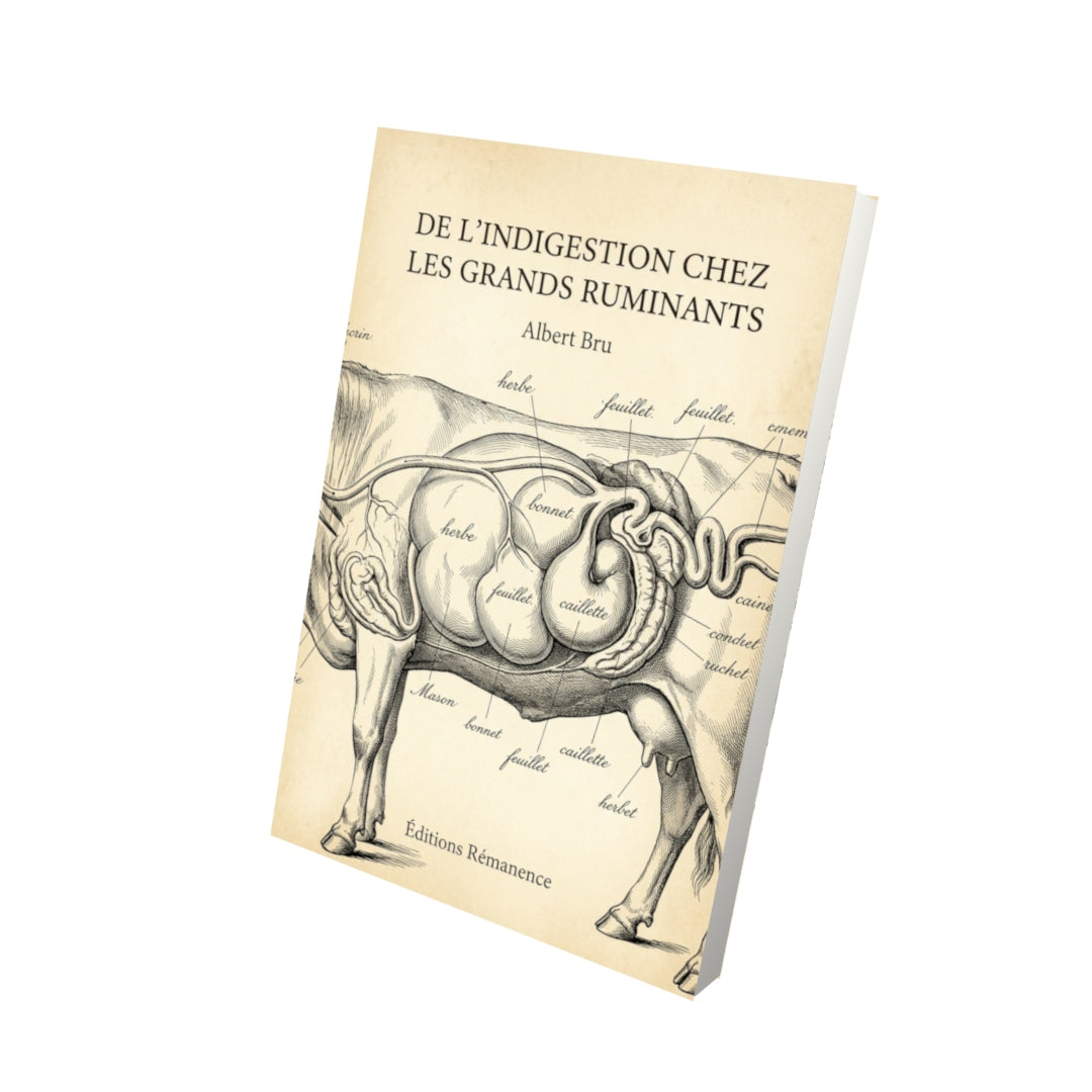Livre De l’indigestion chez les grands ruminants par Albert Bru - Vue 3D - Editions Remanence