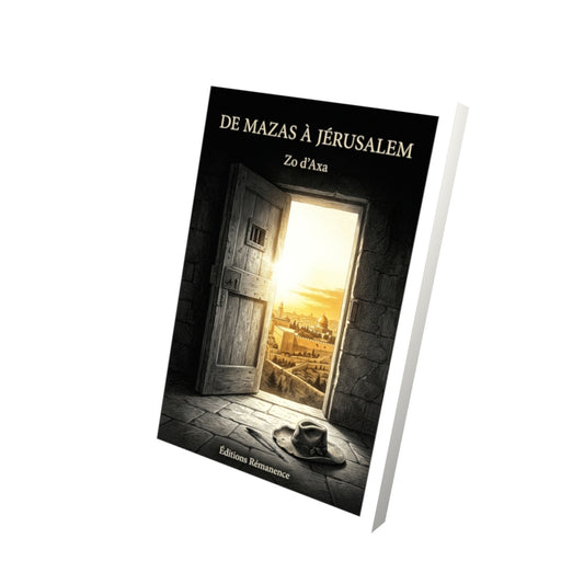 Livre De Mazas à Jérusalem par Zo d’Axa - Vue 3D - Editions Remanence