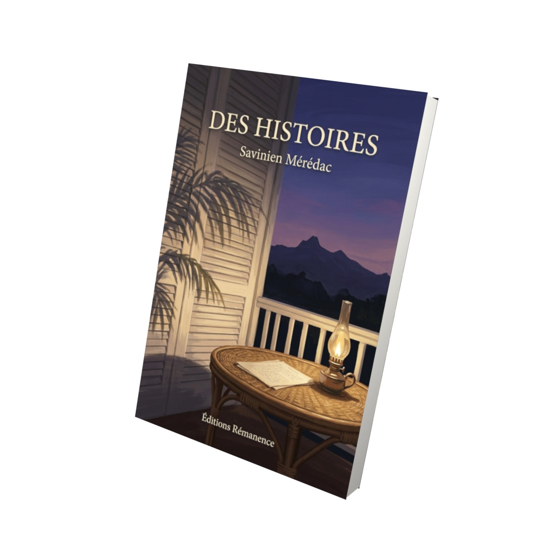Livre Des Histoires par Savinien Mérédac - Vue 3D - Editions Remanence