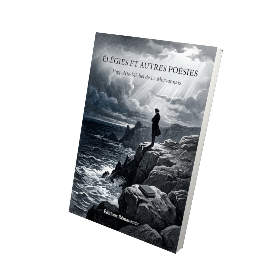 Livre Élégies et autres poésies par Hippolyte-Michel de La Morvonnais - Vue 3D - Editions Remanence