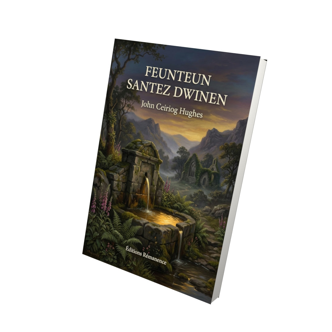 Livre Feunteun Santez Dwinen par John Ceiriog Hughes - Vue 3D - Editions Remanence