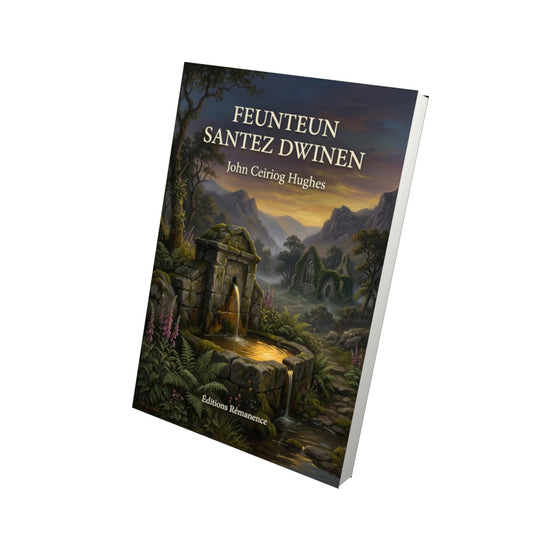 Livre Feunteun Santez Dwinen par John Ceiriog Hughes - Vue 3D - Editions Remanence