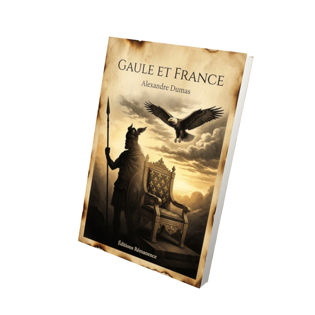 Livre Gaule et France par Alexandre Dumas - Vue 3D - Editions Remanence