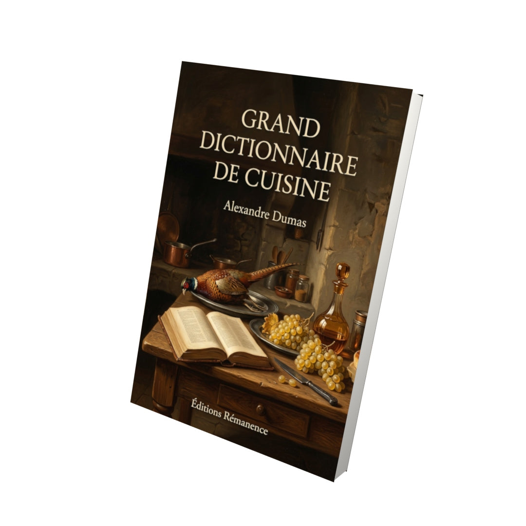 Livre Grand dictionnaire de cuisine par Alexandre Dumas - Vue 3D - Editions Remanence