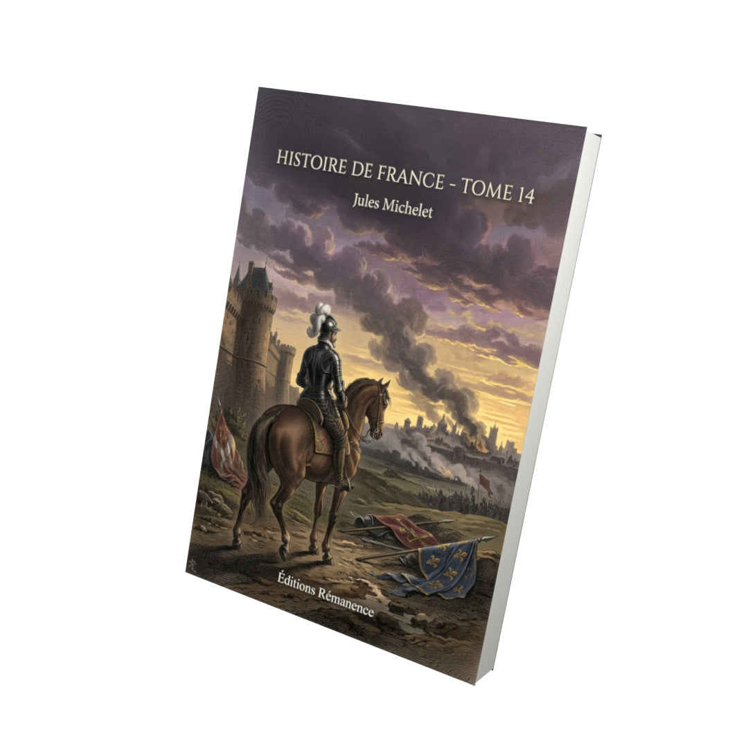 Livre Histoire de France - Tome 14 par Jules Michelet - Vue 3D - Editions Remanence