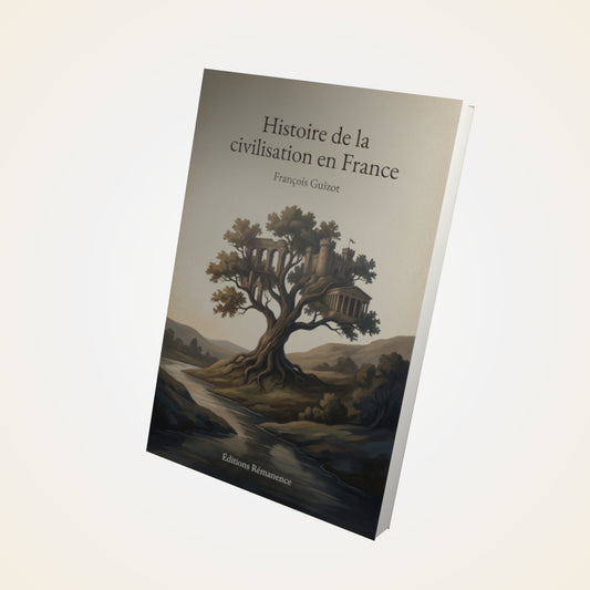 Livre Histoire de la civilisation en France – François Guizot - Couverture 3D