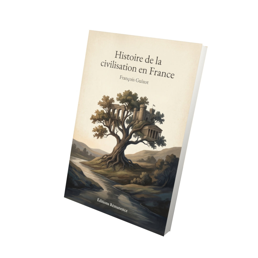 Livre Histoire de la civilisation en France – François Guizot - Vue 3D - Editions Remanence