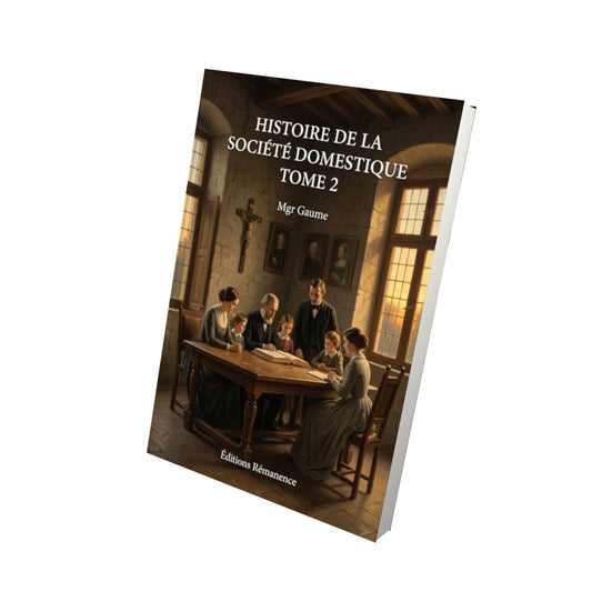 Livre Histoire de la société domestique Tome 2 - Mgr Gaume - Vue 3D - Editions Remanence