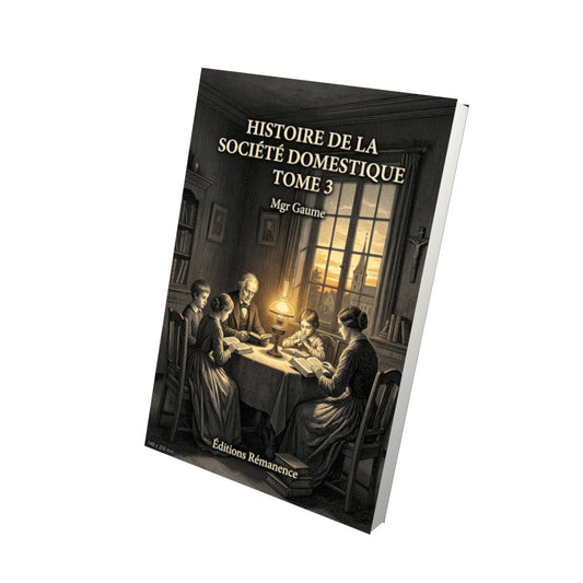 Livre Histoire de la société domestique Tome 3 - Mgr Gaume - Vue 3D - Editions Remanence