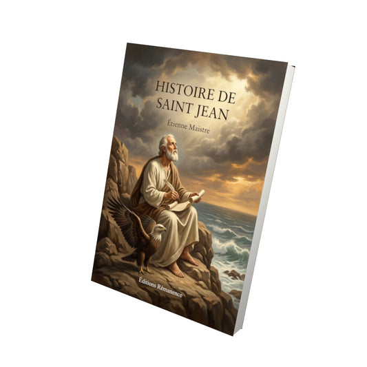Livre Histoire de Saint Jean - Étienne Maistre - Vue 3D - Editions Remanence