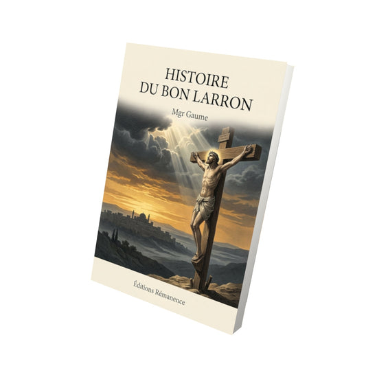Livre Histoire du bon larron - Mgr Gaume - Vue 3D - Editions Remanence