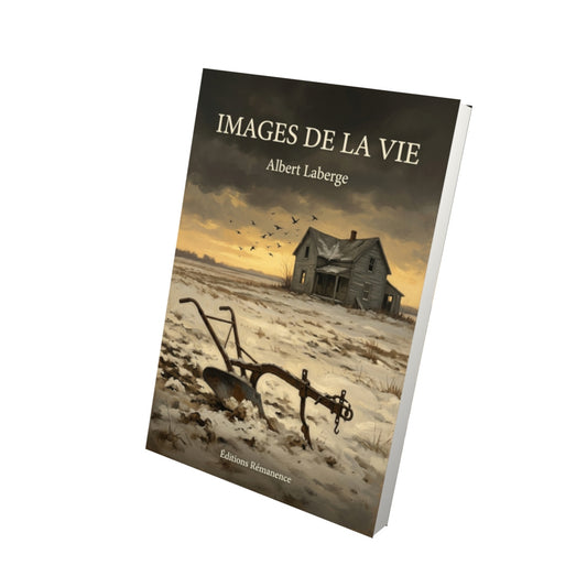 Livre Images de la vie par Albert Laberge - Vue 3D - Editions Remanence
