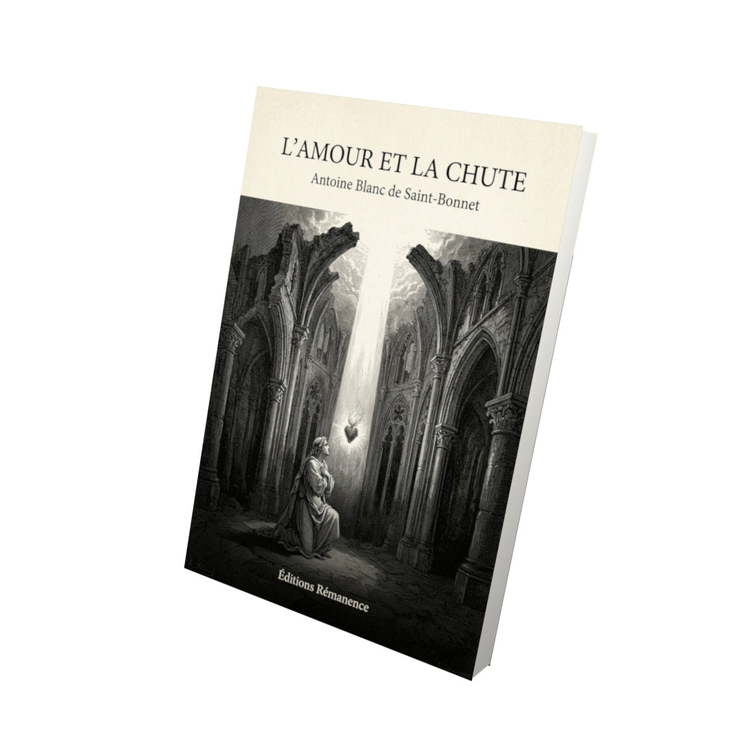 Livre L'amour et la chute - Antoine Blanc de Saint-Bonnet - Vue 3D - Editions Remanence